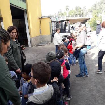 Visite didattiche in oleificio